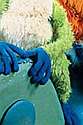 Blue Bear 8